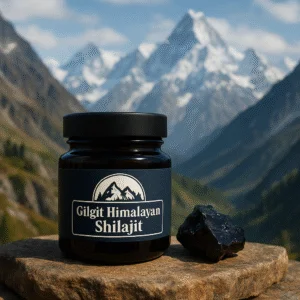 Gilgit Himalayan Shilajit Core – 20g